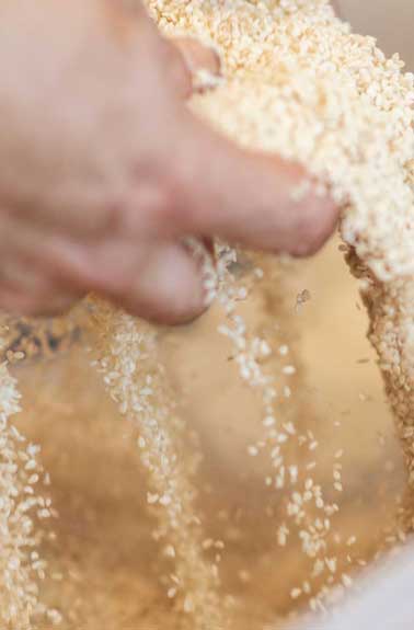 Κουλούρια Κουλουράδες